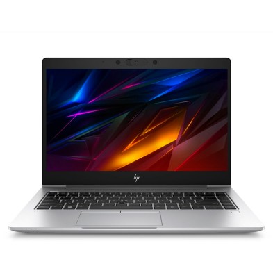 HP EliteBook 745 G6 AMD Ryzen 3 Pro 3300U 2.1 GHz | WEBCAM | WIN 11 PRO